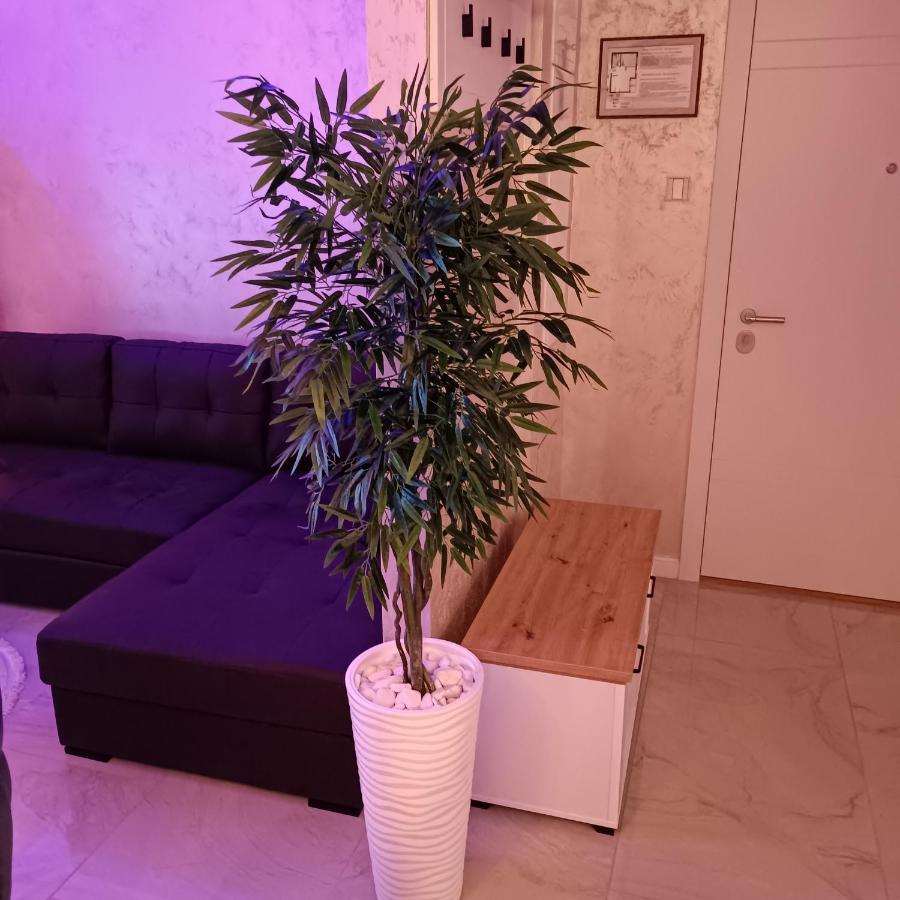 Rb Apartment 3 Lux Smart House Σουμπότικα Εξωτερικό φωτογραφία